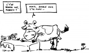 Vache blasée